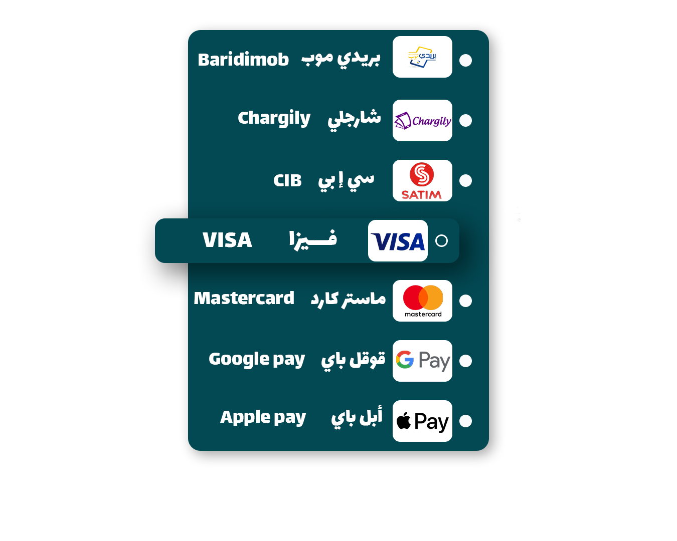 دعم المدفوعات